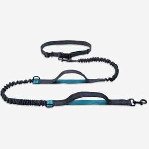 Laisse de chien réfléchissante mains libres en nylon solide et durable pour la course, laisse élastique pour chien, nœud papillon classique et élégant - Product Image 3
