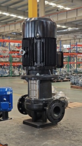 Pompe verticale pour pipeline LKS et pompe centrifuge pour pipeline LKS, pompe centrifuge verticale LKS - Product Image 5