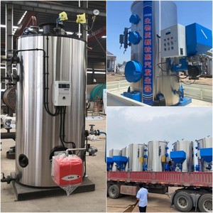 Lhs piccolo verticale 500 700 1000 1500 Kg Gas naturale gpl gasolio caldaia a vapore a gasolio - Product Image 5