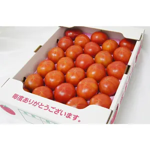 Invernadero de frutas premium, cultivo de tomate, proveedor japonés