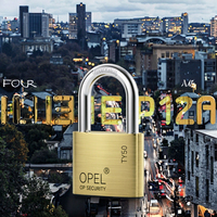 Cadenas en laiton doré poli antivol robuste de marque OPEL Serrure de porte durable en gros Clé étanche Nouveau design Tricercle
