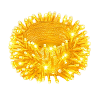 Guirlande lumineuse LED extérieure IP44 à 100 LED blanc chaud scintillantes, alimentée par USB, 8 modes, télécommande, 10 m, pour Noël et les fêtes
