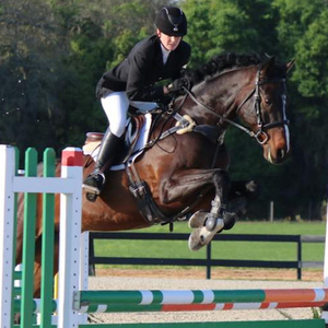 High Quality Outdoor <strong>Aluminum</strong> Metal <strong>Jumps</strong> With Swing Equipment for Horse Racing Sport <strong>Show</strong> - Product Image 1