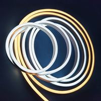 Barre lumineuse LED RVB Télécommande intelligente et application mobile Contrôle automatique du changement de couleur avec IP65 PVC Neon Gradient Landscape Application