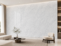Dalles de marbre Bianco Carrara Venato pour îlots de cuisine, meubles-lavabos de salle de bain, carreaux de sol, panneaux à motifs et vasques en pierre
