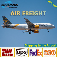 Agente de Carga Marítima/Aérea Puerta a Puerta desde China a EE. UU., Canadá, Reino Unido, España, Australia, Europa, DHL, FedEx