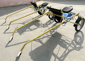 รถม้าลาก รถม้ารุ่นใหม่ล่าสุดสำหรับขาย ผู้ผลิตรถม้าลากแบบราชวงศ์ - Product Image 3