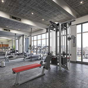Estación Multifuncional de Gimnasio en Casa Unisex con 4 Máquinas de Selección de Pesas, Equipo Comercial de Entrenamiento de Fuerza para Ejercicio - Product Image 5