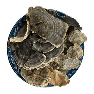 สมุนไพรเพื่อสุขภาพเห็ดหางไก่งวงแห้ง coriolus versicolor - Product Image 3