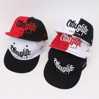 Casquette de baseball 6 panneaux brodée à blocs de couleur, style européen et américain, décontractée, en PVC, avec visière plate unique