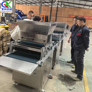 Equipo <span class=keywords><strong>de</strong></span> Siembra Automático para Cultivo <span class=keywords><strong>de</strong></span> Granos, Sembradora <span class=keywords><strong>de</strong></span> Plántulas con Enchufe, para Semillas <span class=keywords><strong>de</strong></span> Tomate, Repollo y Sandía, Nuevo - Product Image 6