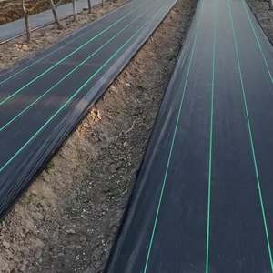 Cubierta de suelo <span class=keywords><strong>HDPE</strong></span> PP/esteras para invernadero/Agricultura - Product Image 4