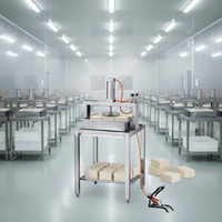 Presse à tofu compacte DFYJ-1 – Machine de traitement des produits à base de soja – Petite machine à tofu – Presse à tofu