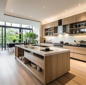 Prima Kitchen personalizado puertas baratas elevador eléctrico debajo del fregadero organizador extraíble proveedores cocina despensa Set - Product Image 4