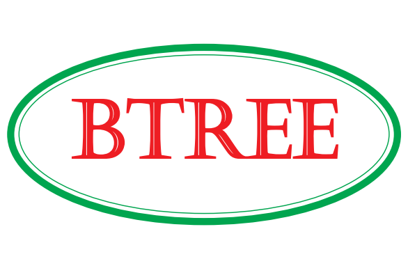 Guangdong Btree New Energy Material Co., Ltd.