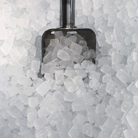 250kg Premium Commercial Utilisé Chewblet Nugget Ice Machine pour Bars