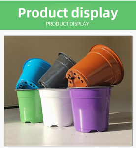Vasi per Semenzai P418, Contenitori per Piante <span class=keywords><strong>in</strong></span> Plastica, Vasi per <span class=keywords><strong>Fiori</strong></span> e Piante - Product Image 2