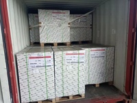 Gold East Paper Jiangsu Mill Selling Nevia Hi Kote 80GSM C2S Art Paper Matt 610*860mm para imprimir revistas