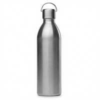 Bouteille d'eau isotherme en acier inoxydable, anti-fuite, à double paroi, réutilisable, thermos pour les voyages, le bureau, la salle de sport