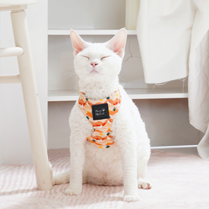 Breathable Fashion Cotton Luxury Comfortable <b>Dog</b> Harness Cat Harness Cute Pattern Adjustable Buckle Small Breed Fashion Style - Product Image 6