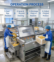 Duurzame industriële elektrische sinaasappel- en aardappel schilmachines, automatische borstelwasmachines voor fruit en groenten