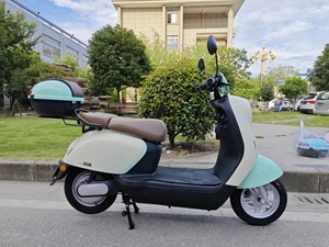 <strong>Electric</strong> Adult <strong>Scooter</strong> Motorcycle <strong>Electric</strong> <strong>Scooter</strong> <strong>Price</strong> <strong>India</strong> with <strong>Price</strong> the <strong>Best</strong> <strong>Electric</strong> Mobility 800w 1000W - Product Image 2