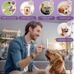 Fabricant expérimenté Suppléments de soins de santé pour animaux de compagnie Calming Soft Chews pour aider à réduire l'anxiété Stress Peur - Product Image 4