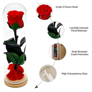 Rosa Preservada Hecha <span class=keywords><strong>a</strong></span> Mano en Cúpula de Cristal, Flores Eternas Coloridas para Boda, San Valentín, Dí<span class=keywords><strong>a</strong></span> de la Madre - Directo de Fábrica - Product Image 3