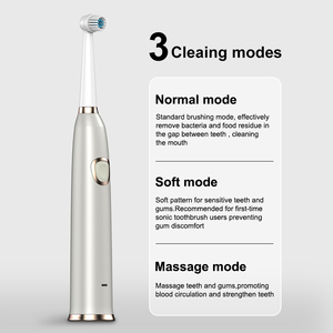 Usb נטענת סיבובית עגול ראש מתנודד מברשת שיניים תיבת נסיעה אוטומטית חכמה מסתובבת - Product Image 6