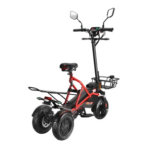 Scooter Eléctrico Fasuer Pass EEC OEM de 3 Ruedas, 48V23.4Ah, Motor Dual, para Adultos - Product Image 3