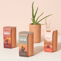 Kit de plantation monobloc en céramique pour herbes, fleurs et succulentes, design champêtre, pour l'exportation