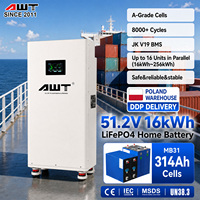 Batteries LiFePO4 AWT 51.2V 314Ah 16kWh 15kWh LFP avec disjoncteur, 800 cycles, pour stockage d'énergie domestique, Lithium UE