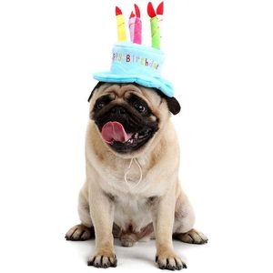 Sombrero de cumpleaños para perro o gato con 5 velas de colores, talla única, accesorio suave para fiestas de mascotas - Product Image 6