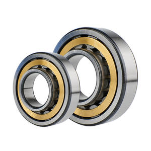 Rodamientos de Rodillos Cilíndricos de Una Hilera RQ Serie Completa NU NJ NUP N RN para Centrífugas, Bombas de Agua, Fabricantes de Cribas Vibratorias - Product Image 2