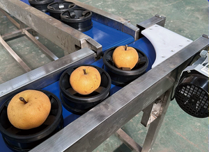 เครื่องชั่งและคัดแยกผลไม้พีช เครื่องคัดแยกน้ำหนักมะม่วง เครื่องคัดแยกแอปเปิ้ลแบบไม่ทำลายเนื้อผลไม้ - Product Image 4