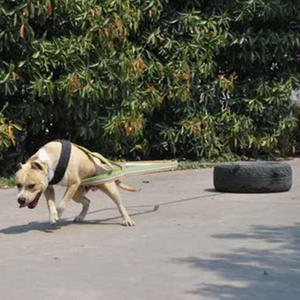 Conjunto de correa de perro retráctil de arrastre de lujo <span class=keywords><strong>Collar</strong></span> de entrenamiento de peso duradero personalizado con Material de fibra de tela de nailon de lino - Product Image 4