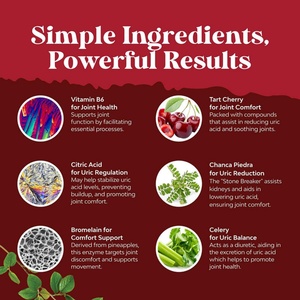 120 Cápsulas Vegetales para la Limpieza del Ácido Úrico, Suplemento Renal, Suplemento para el Ácido Úrico, Cápsulas Detox, Píldoras Detox - Product Image 6