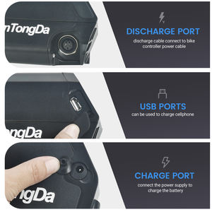 Paquete de batería de repuesto para bicicleta eléctrica de 48 voltios para Reention Dorado <span class=keywords><strong>Plus</strong></span> 48 V Ebike Kit de conversión eléctrica de litio con cargador - Product Image 6