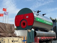 Chaudière industrielle à eau chaude à double combustible (huile et gaz) à tubes de fumée horizontaux basse pression de 7 MW à commande automatique