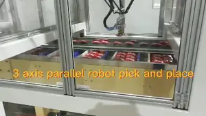 China fornecedor automático caixa robô preço linha embalagem