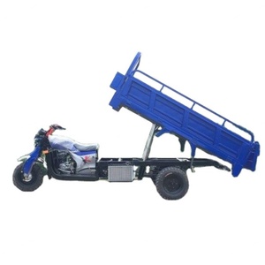 Triciclo Motorizado de Gasolina de 250cc, Refrigerado por Agua, Motocicleta de 3 Ruedas - Product Image 3