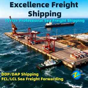 Spedizione Marittima DDP a Basso Costo, Agente di Spedizione in Cina a Wenzhou, Shanghai, Shenzhen, Consegna Espressa DHL FedEx a <span class=keywords><strong>Manisa</strong></span> Bursa - Product Image 4