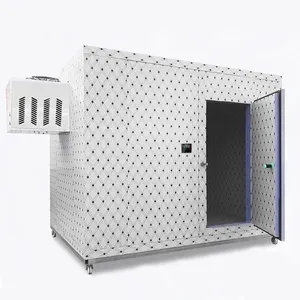 High Efficiency Customized Mobile Cold Room with Solar Power Panel Mono-block Compressor Condensing Unit Container Cold Storage