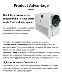 Lyophilisateur polyvalent pour la maison, traite facilement les solides comme la viande/les fruits et les liquides comme la soupe/le café. - Product Image 5