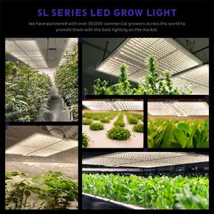 Lámpara de horticultura para invernadero Seednleaf, controlador inteligente, planta regulable, interior, impermeable, Led, luz de cultivo para planta de interior