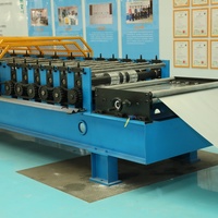 Máquina Automática para Formar Rollos de Techo Corrugado, Máquina para Fabricar Paneles Metálicos Corrugados para Revestimiento de Paredes y Techos de Almacenes y Fábricas