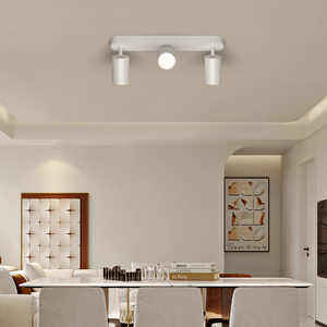 Design moderne <span class=keywords><strong>GU10</strong></span> projecteur LED lumineux en aluminium à montage en surface multi-têtes en option noir et blanc réglable IP44 - Product Image 6
