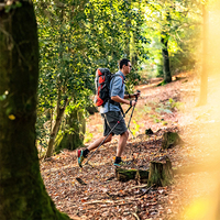 Vente en gros Bâtons de marche pliants ultralégers Bâtons de trekking pliables légers pour Trail Seniors Men