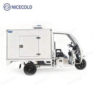 Tricycle frigorifique électrique pour la <span class=keywords><strong>livraison</strong></span> en chaîne du froid de produits surgelés, de <span class=keywords><strong>viande</strong></span>, de fruits de mer et de produits frais - Product Image 2