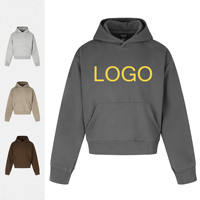 Sweat-shirt à capuche unisexe en coton épais de style américain, couleur unie, coupe décontractée et polyvalente pour l'automne